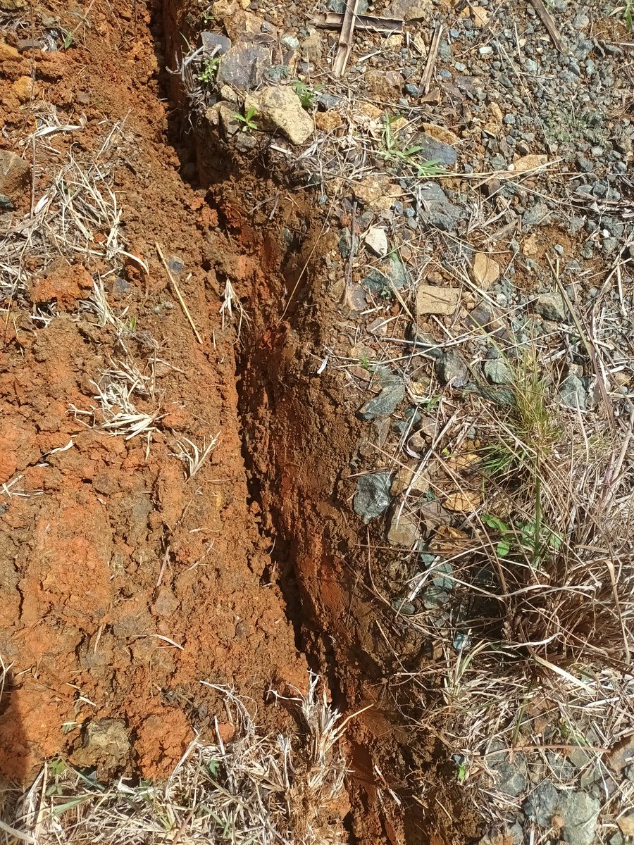 PILAS, los suelos arcillosos tienen la propiedad de contraerse en verano y de expandirse con las lluvias. 

Variaciones drásticas del clima provocan grietas q infiltran el agua, saturan el terreno y accionan los derrumbes. Atentos!

Curso SbN <a href="/Corpocaldas/">Corpocaldas</a>