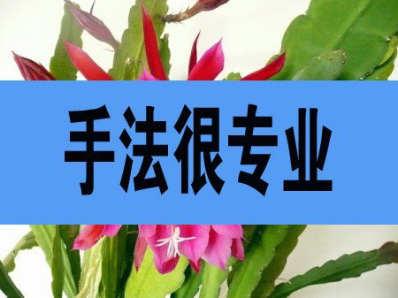 SandraAnde85177's tweet photo. #成都男技师
男技师，成熟，多毛，健壮，猛男类型，喜欢黑西服，皮裤，西裤，领带，黑皮鞋，丝袜，白��，等等
➕微15884515554 https://t.co/Nvfn4JIVfm