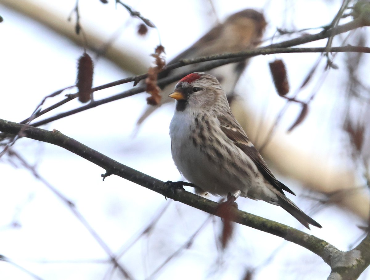 Neil wright tweet media