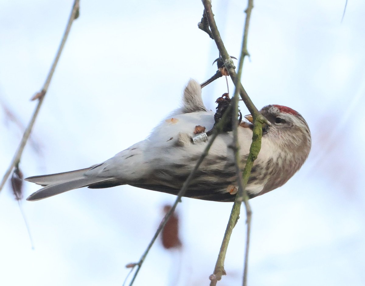 Neil wright tweet media