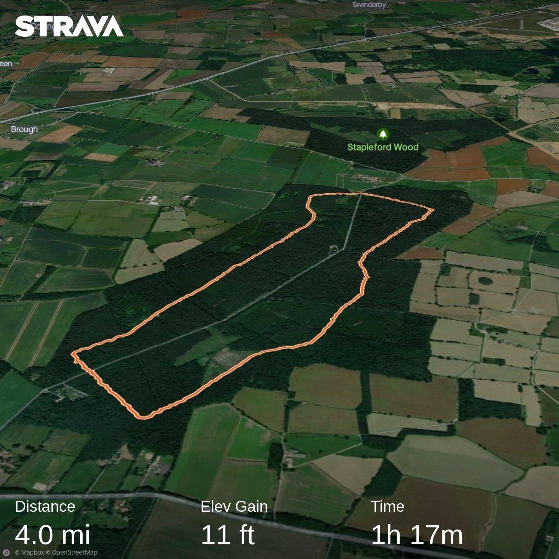 GorillaManFitn1's tweet image. This afternoons Tab with Gary Haines in the woods, not a PB today because we missed last Sundays Tab with Katie being in hospital and Gary not feeling 100% but we still did it 💪🥾❤️ #fitnessmotivation #TeamBeastMode #teambeast #beastpharm #tabbing #endurancetraining