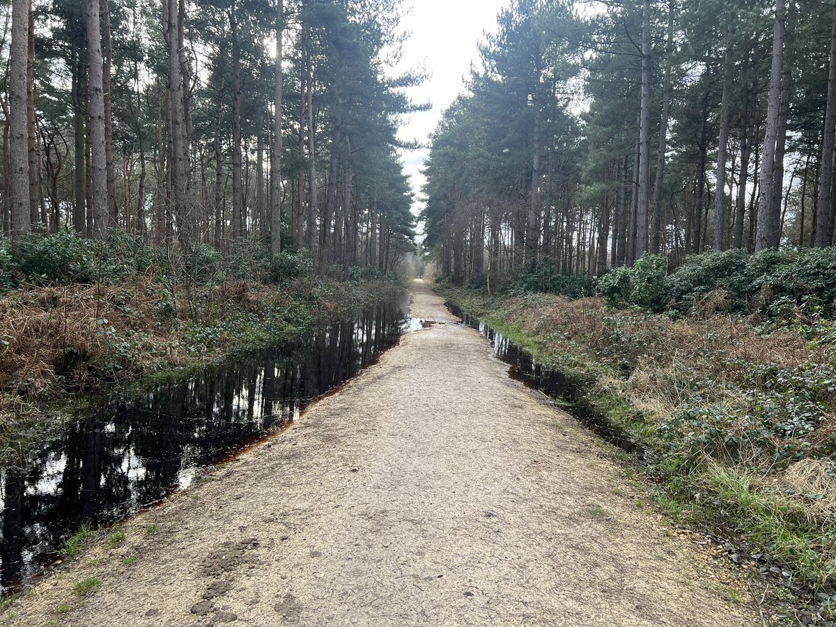 GorillaManFitn1's tweet image. This afternoons Tab with Gary Haines in the woods, not a PB today because we missed last Sundays Tab with Katie being in hospital and Gary not feeling 100% but we still did it 💪🥾❤️ #fitnessmotivation #TeamBeastMode #teambeast #beastpharm #tabbing #endurancetraining