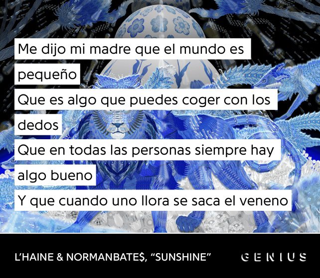 lucía tweet media