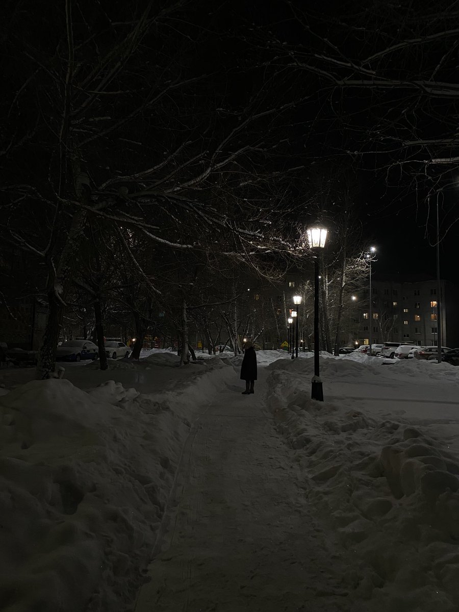 brownfox_al's tweet photo. С появлением Таи в жизни,гуляю по 2-3 раза в день. 

Созерцаю в этот атмосферный вечер ❄️ https://t.co/CyTtkncQi6