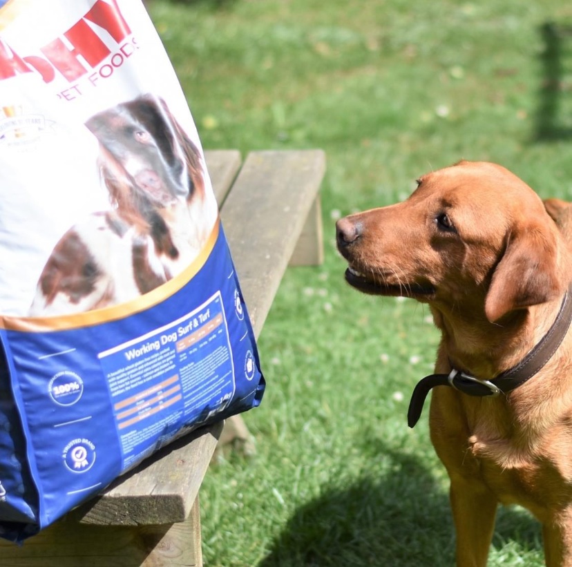 Our #WorkingDog Surf &amp; Turf recipe is packed with quality protein, essential nutrients &amp; made with 100% #natural ingredients. The recipe is also enhanced with coat &amp; #jointsupport, it's perfect for those looking for a nutritionally dense feed that does not break the bank #dogfood