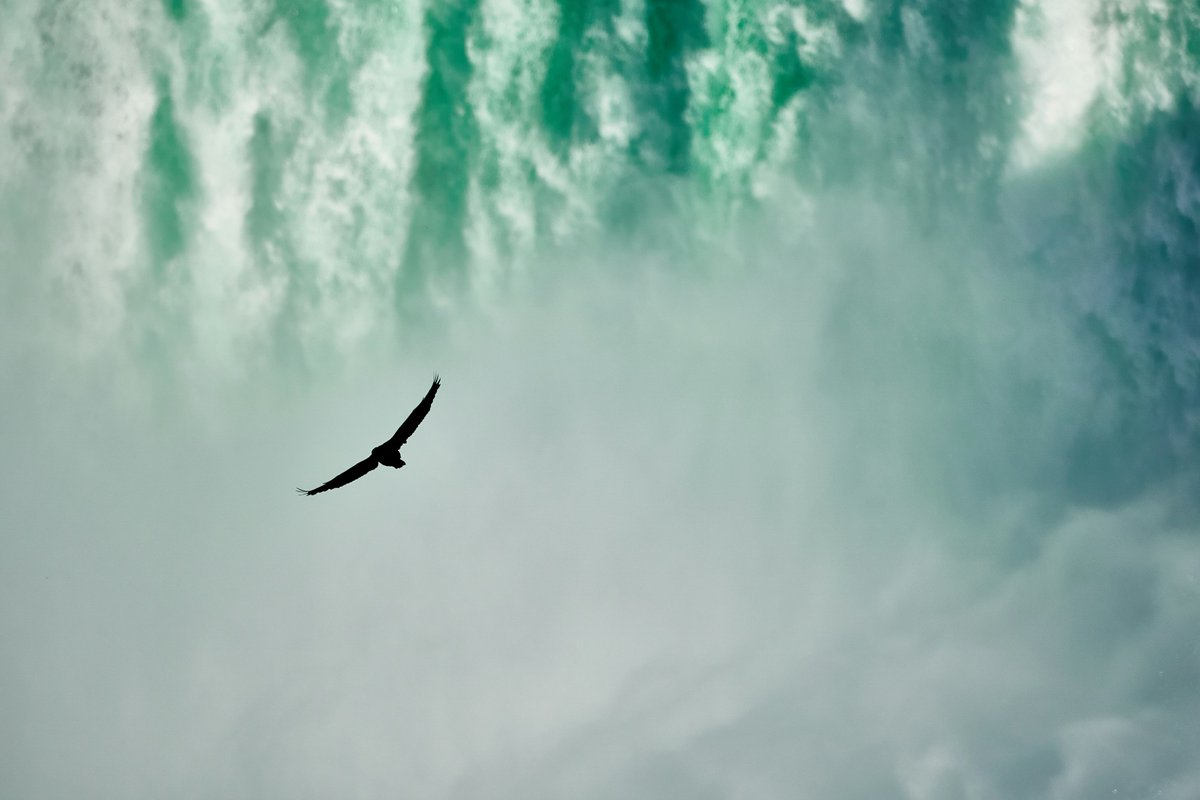 LiminalSpaceMN tweet picture