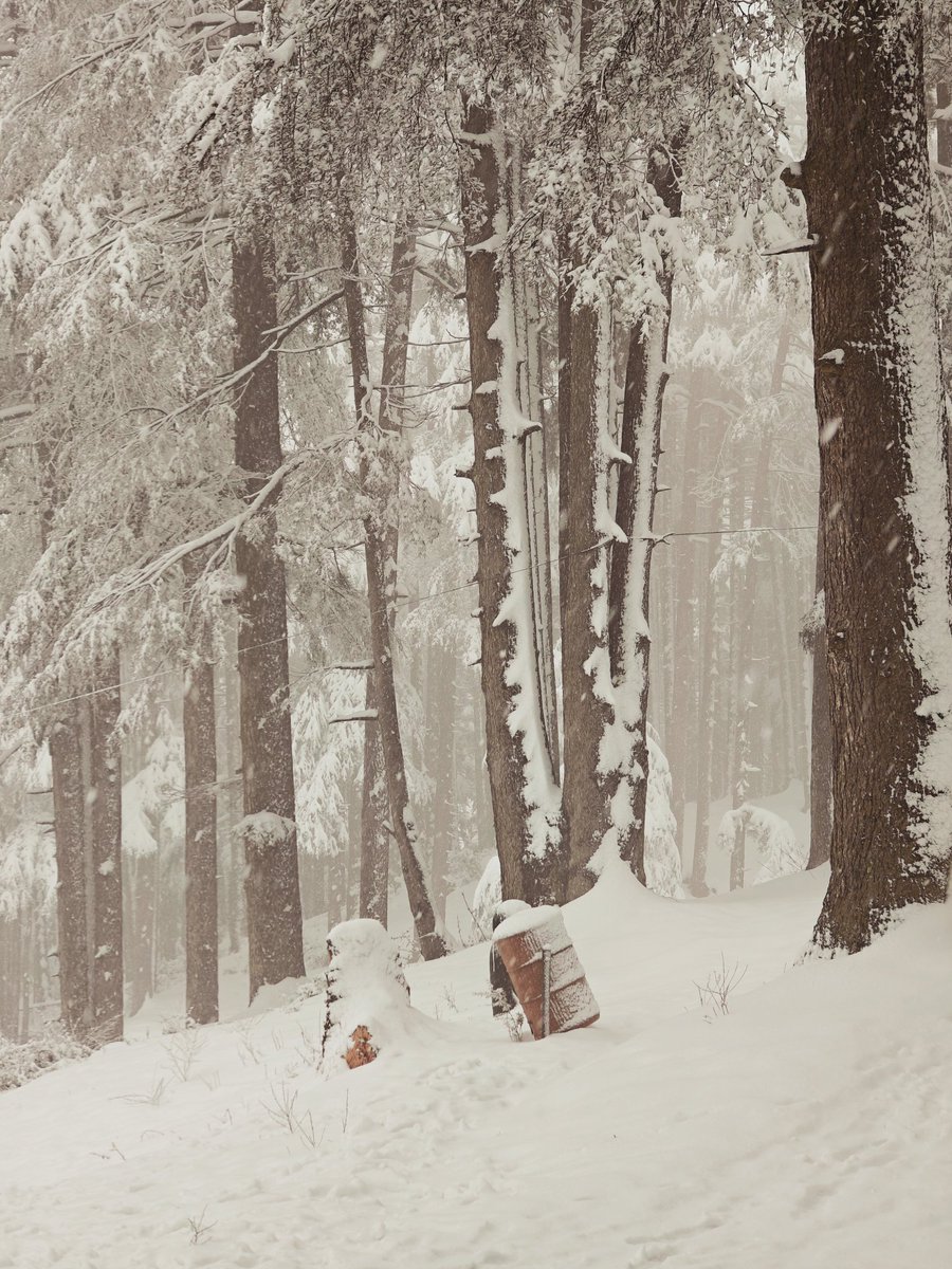 The winter's wonderland.
Patnitop, J&K