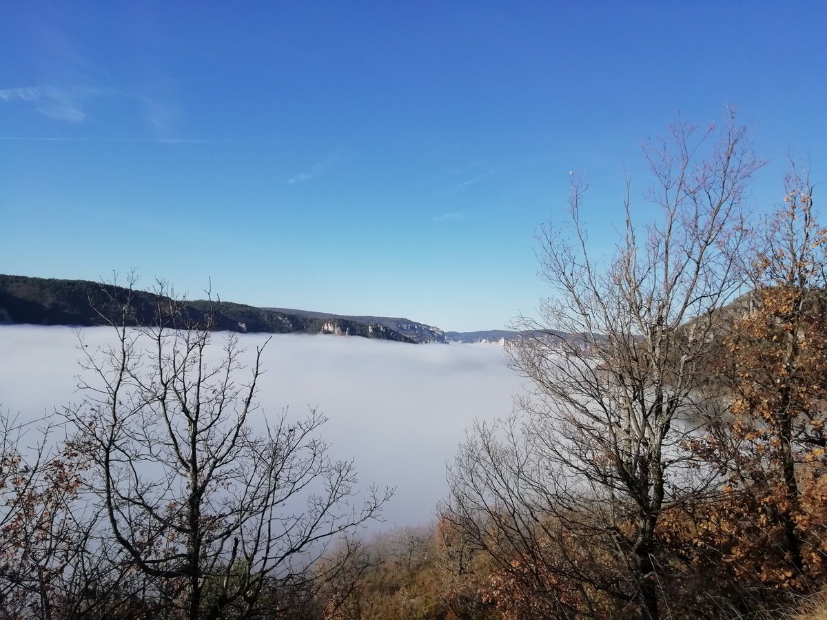 Mer de brouillard
Vallée de la Dourbie
#Aveyron