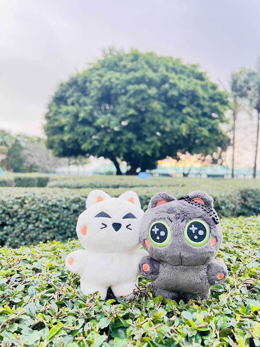 amchara815's tweet photo. Hihi
HongKong Disneyland
sMile and Cattawin is here🥰 #JAPANEXPO2024xMileApo
#MileApo 
@milephakphum 
@Nnattawin1 https://t.co/3uiWl5D5Qu