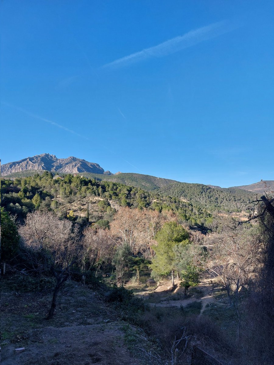 Clidice's tweet image. En sortir de casa #elmeumon #privilegis #Montserrat