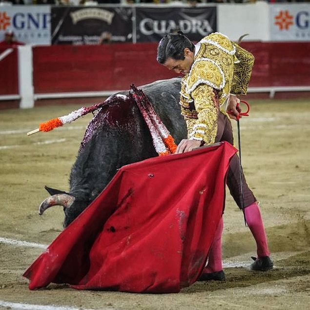 jcfortiz17's tweet photo. Un saludo para el pobre y limitado @DavidFaitelson_  TREMENDO JUAN ORTEGA EN LEÓN. QUE VIVA EL ARTE Y LA LIBERTAD. https://t.co/GvrzG00spG