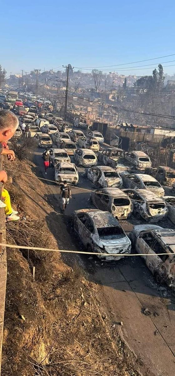 elnacionalpy's tweet photo. TRAGEDIA TOTAL | 🇨🇱💔

🔹Chile sufre los peores incendios forestales urbanos de su historia en la región de Valparaíso, donde confirmaron 56 muertos hasta ahora. 

🔹En imágenes una caravana de autos que intentaba huir y quedó calcinada por el fuego. 

🔹Miles de casas y negocios fueron afectados y se investiga la posibilidad concreta de que varios de los incendios hayan sido provocados adrede, como ocurrió en Colombia hace algunas semanas.

#ElNacional
