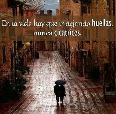 Nota del día vía <a href="/MarcelaErcia/">🕉MARCE🐉⚖ #MarceTeAyuda🔮#JesúsCambióMiVida✝</a>