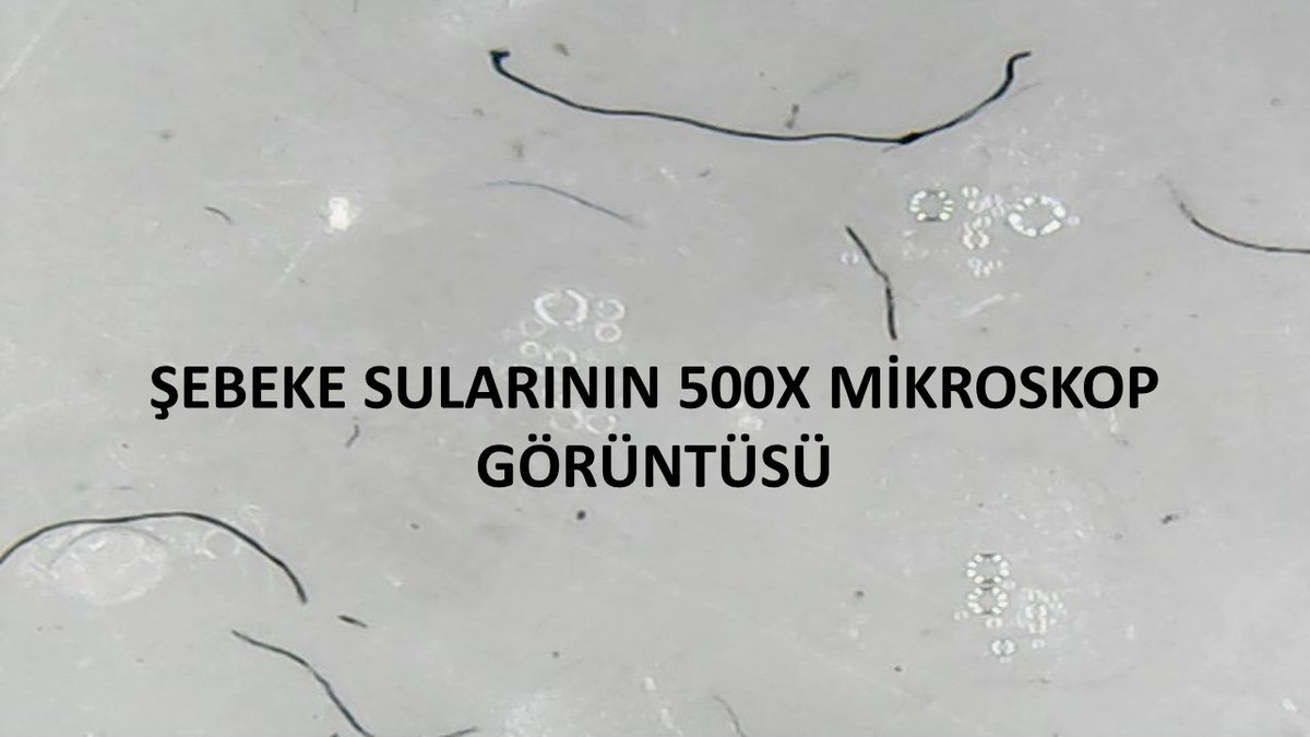 YucelereD's tweet image. Başarılar diliyoruz. 
Bir çok şehirde ve Istanbul şebeke suyunda yoğun olarak tespit ettiğimiz,
İnsanlarda Uyuz Zona Egzama zannedilen Kanser vs dahil #Morgellons hastalıklarına sebep olan bu garip #Fulleren partiküllerini sulardan temizlemeye söz veren herkesi destekleyeceğiz