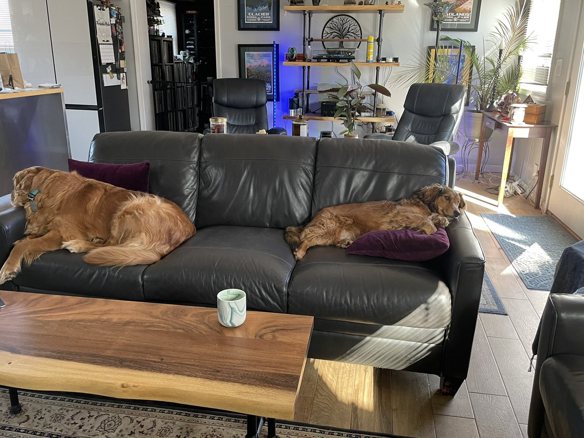 abbey_n_normal's tweet photo. Yes, we’re comfortable. No, I don’t think I’m spoiled. https://t.co/uf5Ip7AyYm