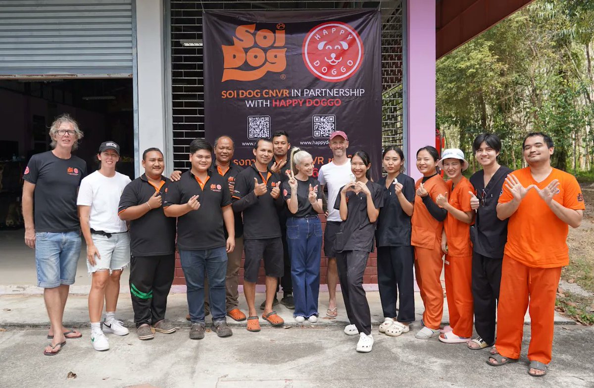 NiallHarbison's tweet image. Taking Things To A Whole New Level For The Street Dogs 🐶🌴📈

The ultimate goal of this mission I’m on to save street dogs is to cut the global population from 500 million to 250 million in the course of my lifetime.

It’s such a ridiculous goal that I sometimes squirm when I