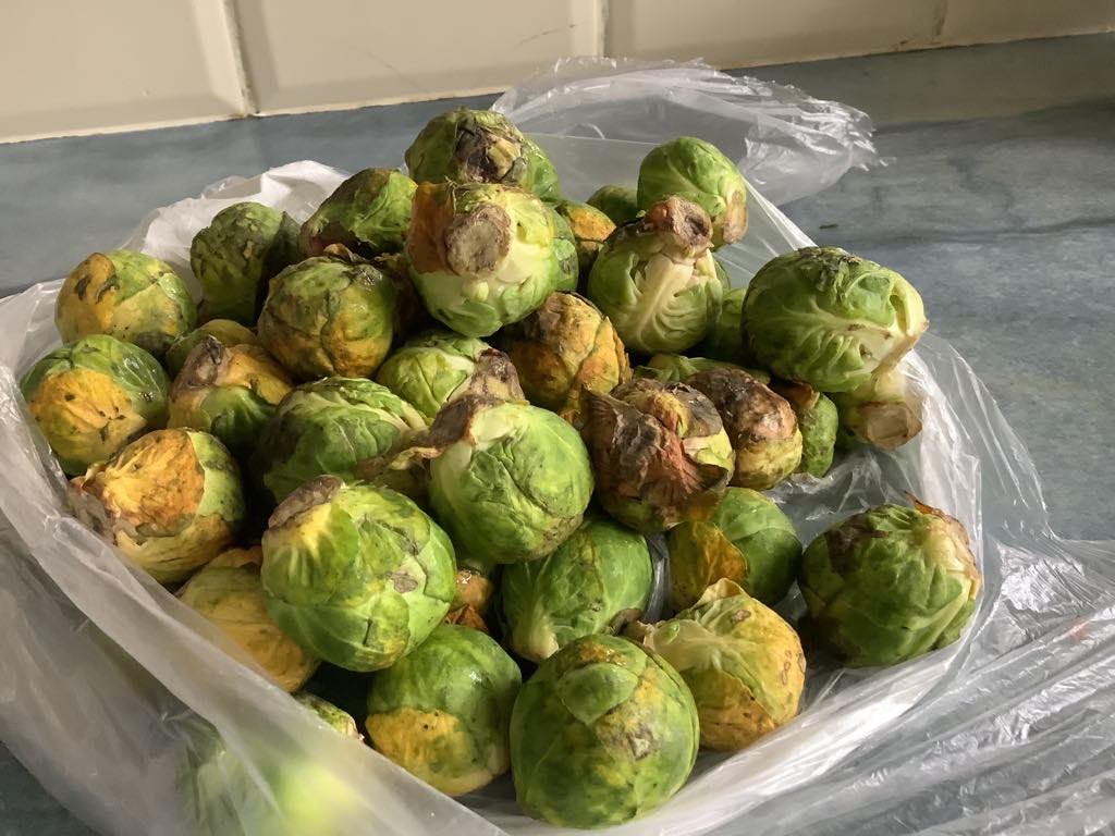 philip_allsopp's tweet photo. @sainsburys - North Cheam - What on earth is going on here?   Almost rancid food a) being picked 🤷🏻‍♂️b) packed 🤔and then c) delivered! 😡Unfit for human consumption wouldn’t you say?  Who the hell has sent these to my elderly and vulnerable parents?  #sainsburys #rancidfood https://t.co/RxFacE42OX
