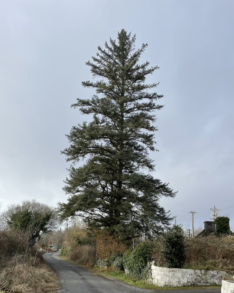 berjeffries's tweet photo. Day 35 #100daysofwalking  group walk day #walkandtalk #teaandchat #connemara #100daysofwalking24 https://t.co/aKTmcPQY2P