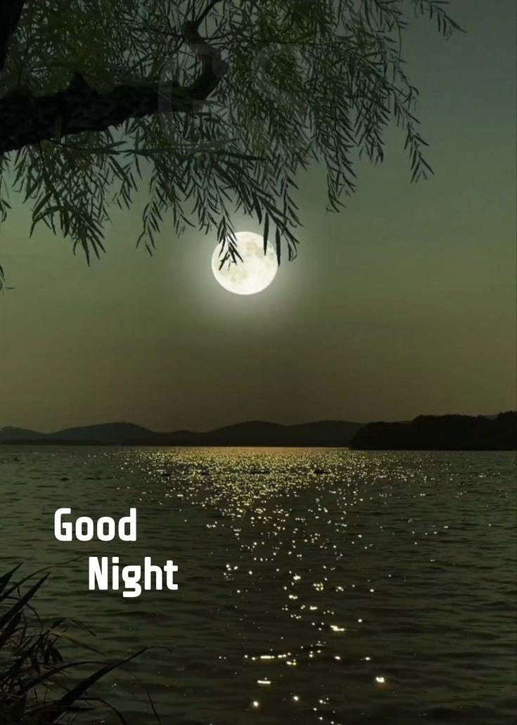 اَلسَلامُ عَلَيْكُم وَرَحْمَةُ اَللهِ وَبَرَكاتُهُ
شب بخیر
فرعون کا دریائے نیل میں ڈوبنے کا کوئی پروگرام نہیں تها
مگر ڈوبنا پڑا
شداد اگلے سینکڑوں سال اپنی جنت میں عیاشیاں کرنا چاہتا تها
مگر دروازے پر پہنچ کر مر گیا
نمرود کی پلاننگ تو کئی صدیاں اور حکومت کرنے کی تهی
مگر ایک مچهر