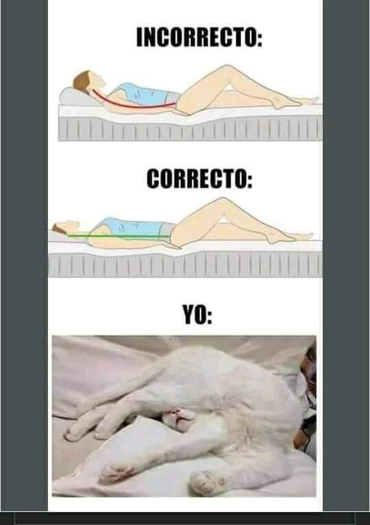 Lo Mejor de Twitland (@mejorestwits) on Twitter photo 