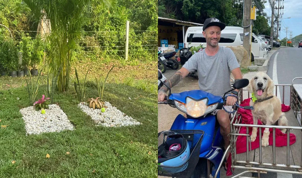 NiallHarbison's tweet image. Taking Things To A Whole New Level For The Street Dogs 🐶🌴📈

The ultimate goal of this mission I’m on to save street dogs is to cut the global population from 500 million to 250 million in the course of my lifetime.

It’s such a ridiculous goal that I sometimes squirm when I