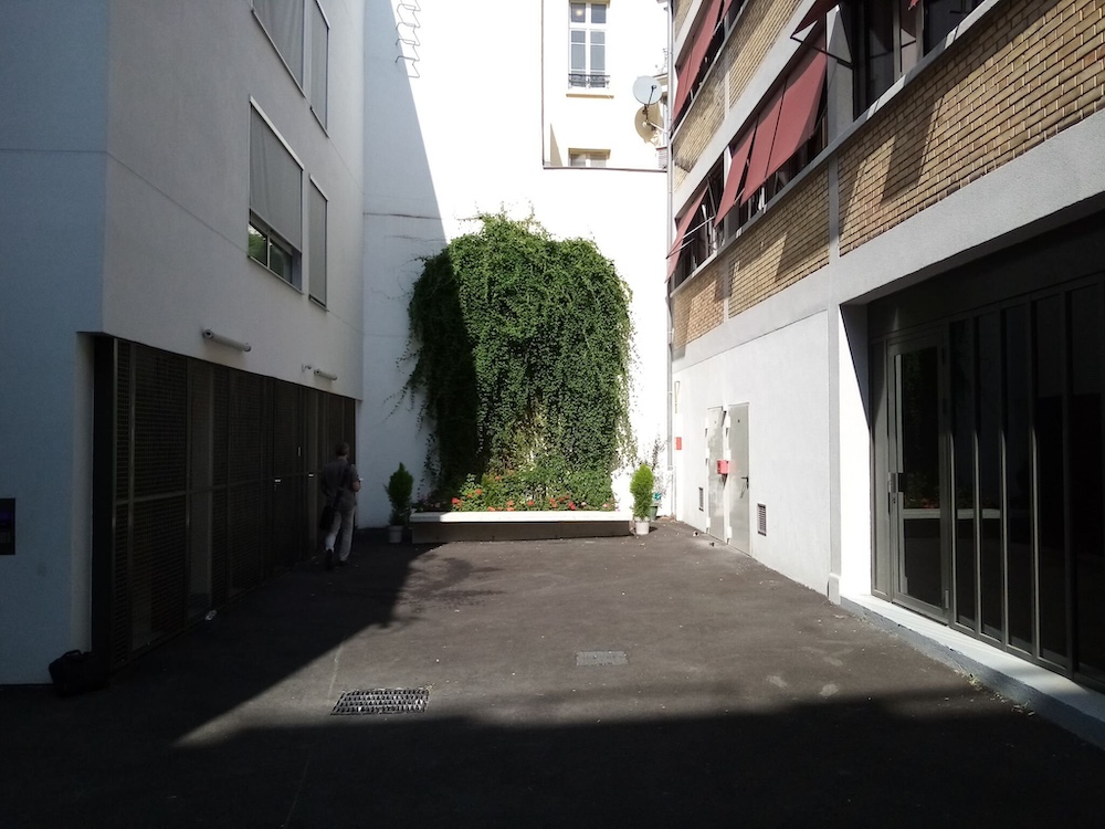 Ground Magazine tweet media