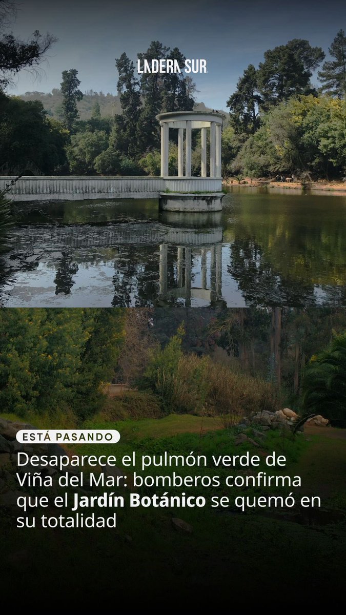 ladera_sur's tweet photo. Lamentamos informar que uno de los hitos de la ciudad jardín, Viña del Mar, se quemó completamente, según Bomberos. Se trata del Jardín Botánico, donde murió una funcionaria y tres familiares. #jardinbotanico https://t.co/0N1SxSRjH9