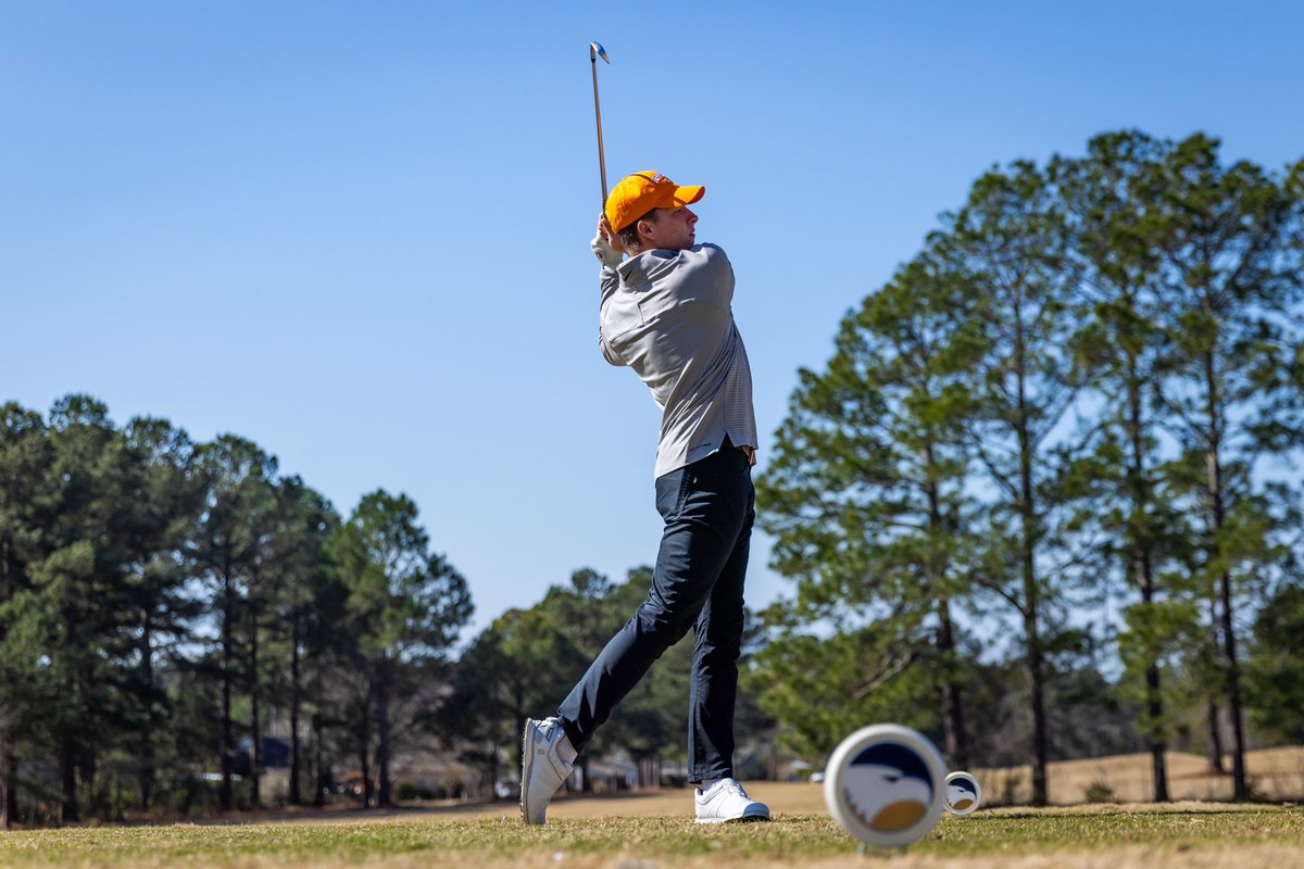 Tennessee Golf tweet media