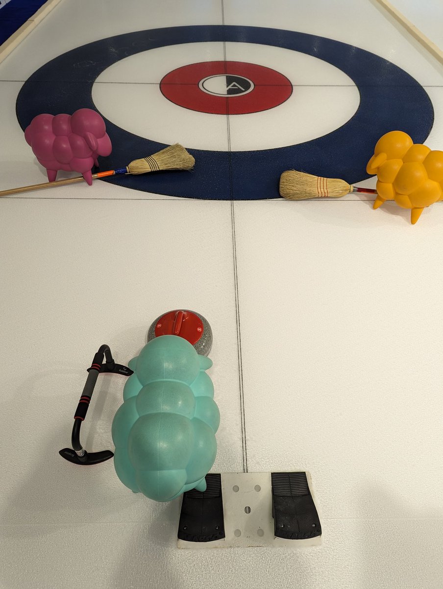 Czar4N's tweet photo. Even sheep can learn to curl.
@usacurl @columbiasport @americandream 
#2024curlingnationals
#gotsheep https://t.co/GMj7CQDiw1
