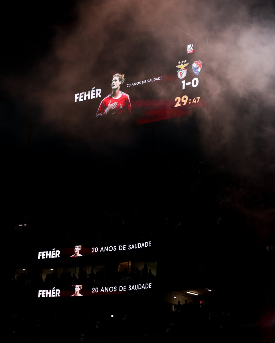 SL Benfica tweet media