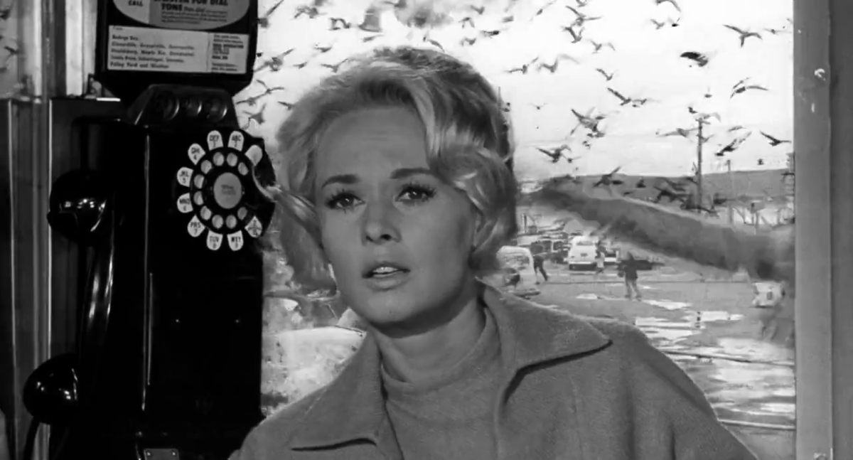 Behind the scenes of 'The Birds' (1963) by Alfred Hitchcock
#TheBirds  #AlfredHitchcock #TippiHedren #BodegaBay #1960s