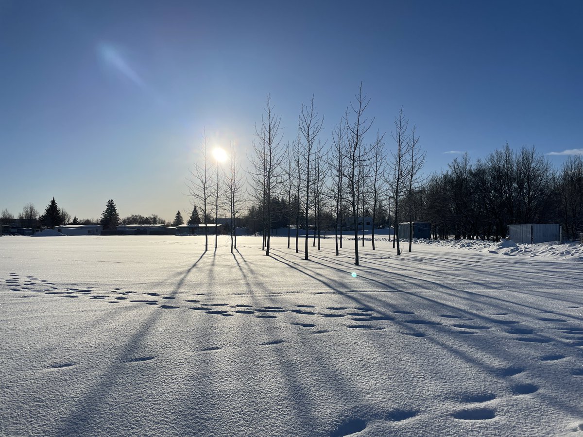 Today in the center of Selfoss town in Iceland 🇮🇸 #WinterWonderland