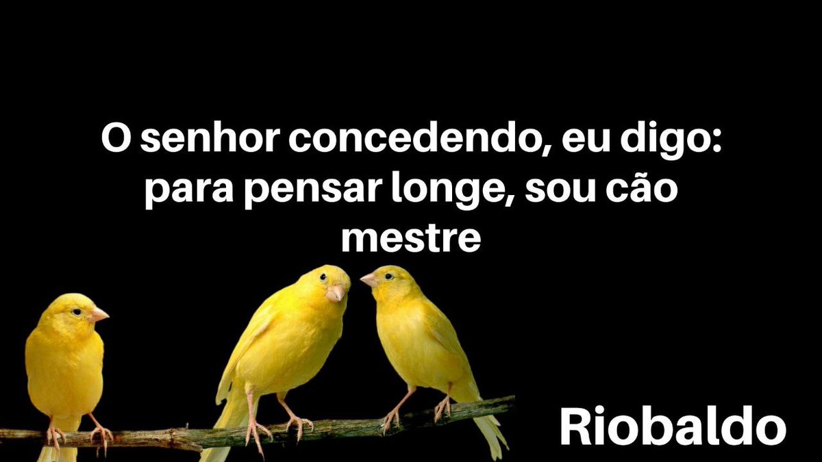 Augustonjl's tweet photo. #literatura https://t.co/BIT2icQWst