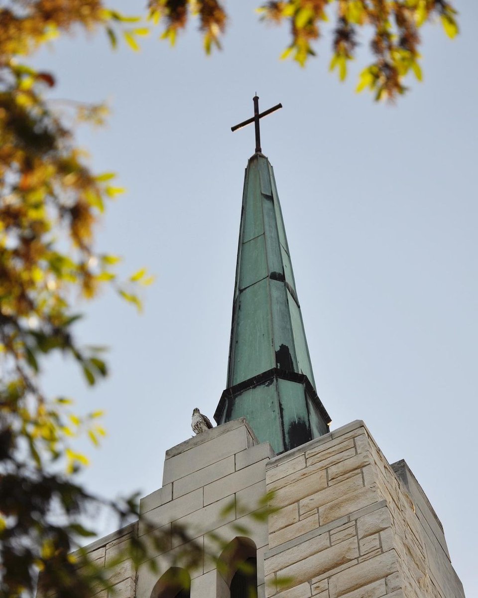 Wishing you a peaceful Sunday from all of us at TLU!