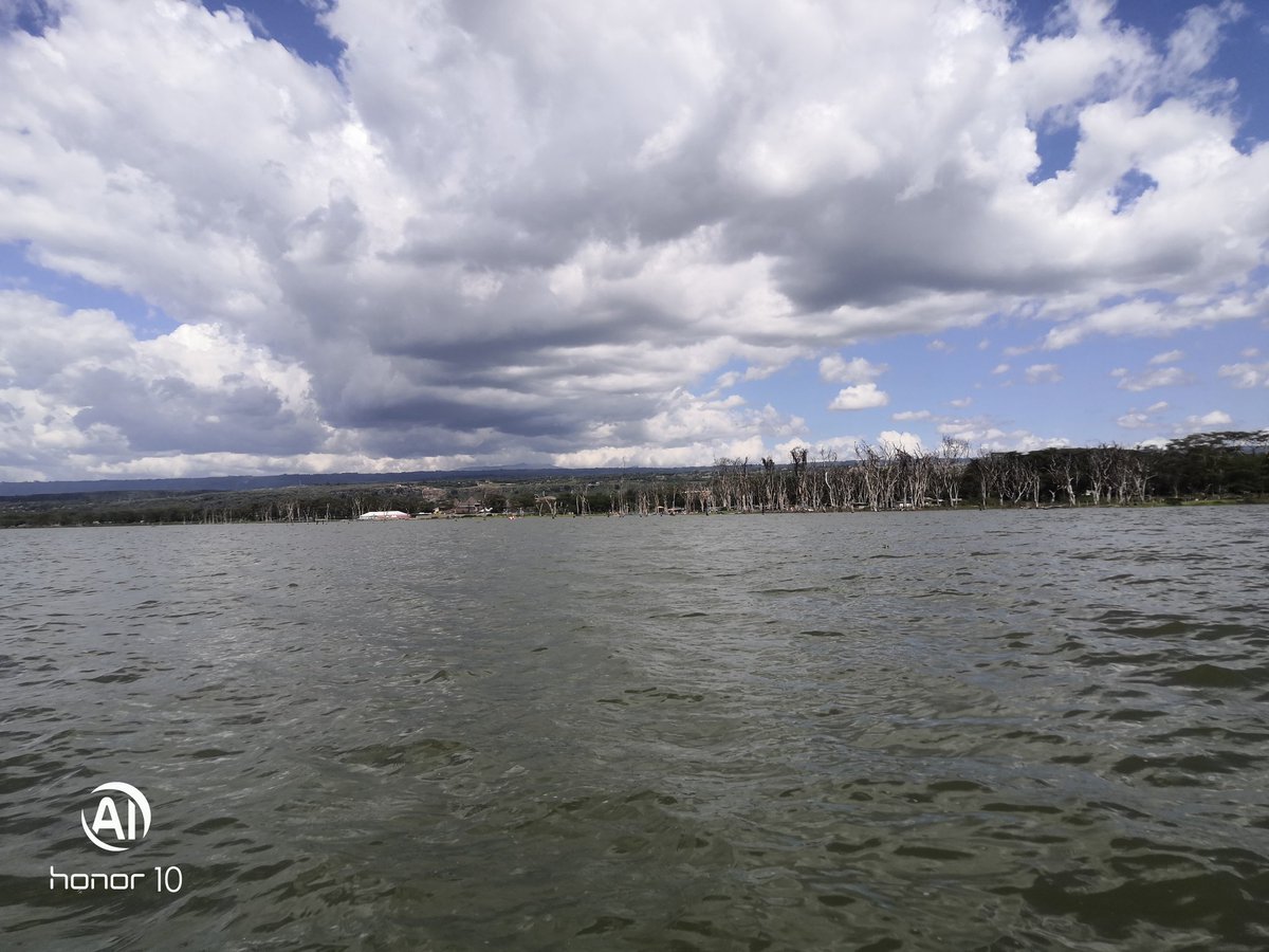 ngugigatonye's tweet photo. Lake Naivasha tour https://t.co/bVGlreMmu6