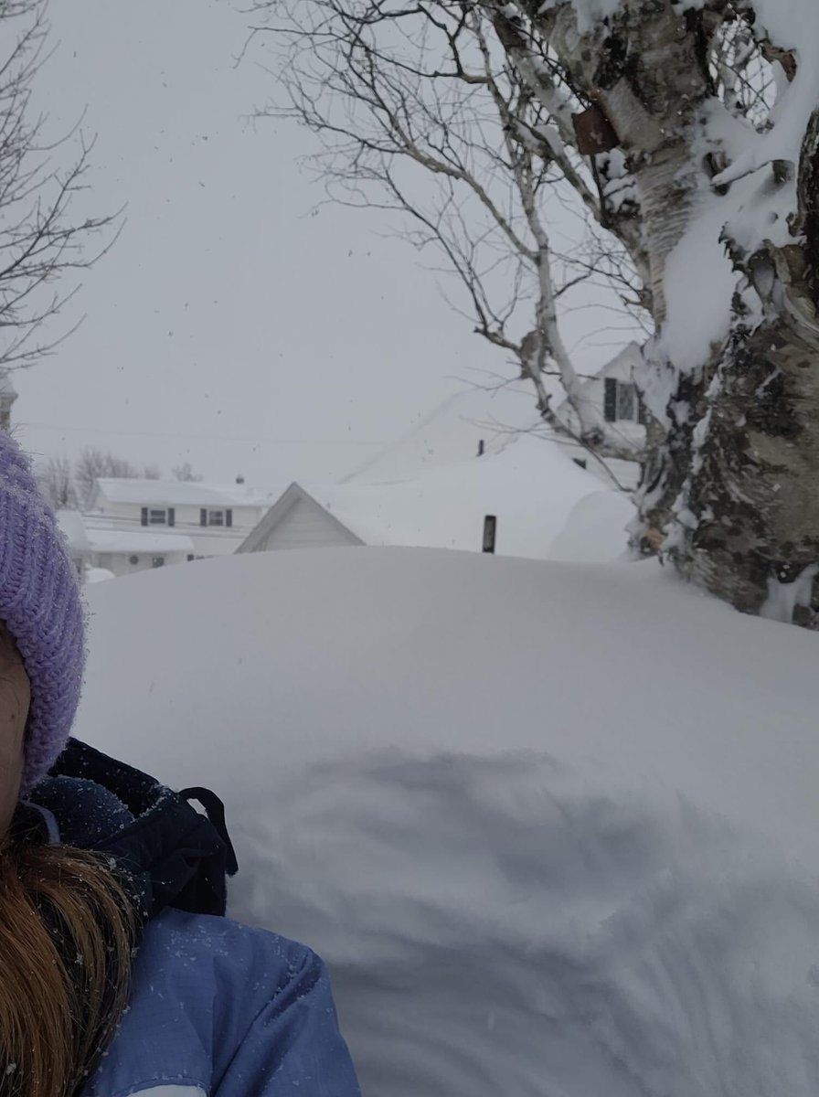 msHeatherAD's tweet photo. @allistercanada Snow was up to my neck now its past that. Made my way to tree in backyard. This is in Sydney https://t.co/QnWieSb8rL