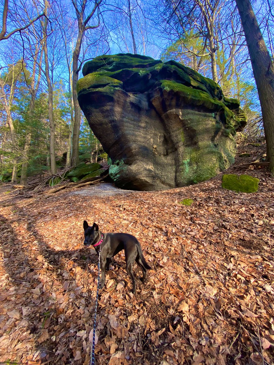 Check out this rock!!