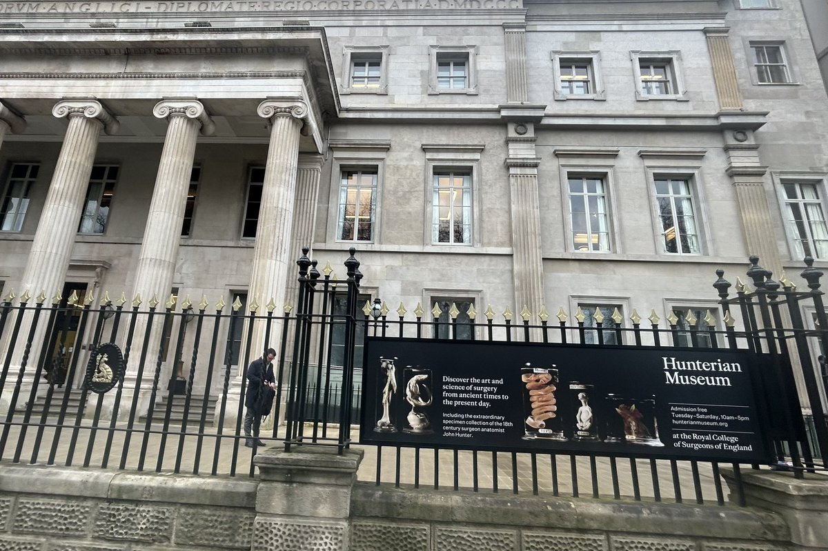 Susan Freeman tweet media