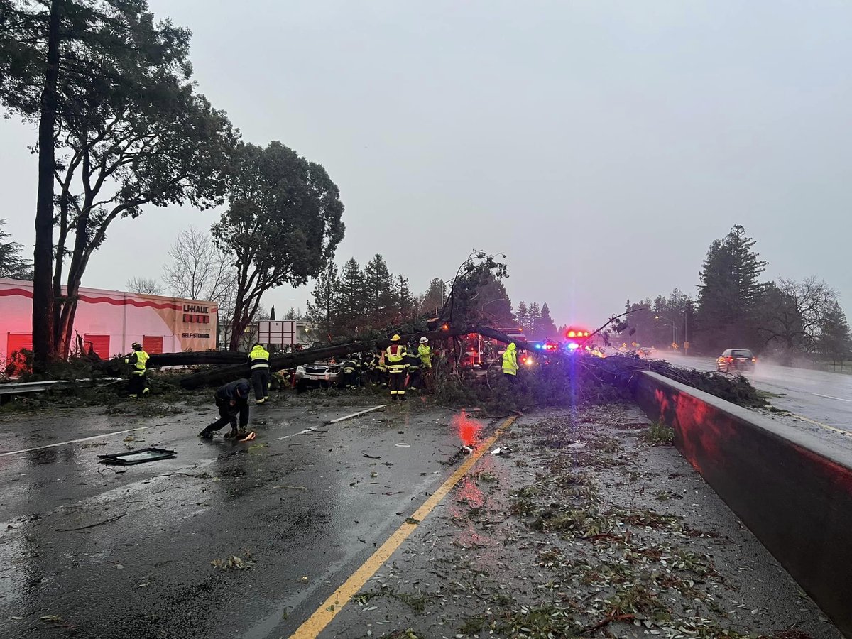 KCBSAMFMTraffic's tweet photo. #SantaRose Northbound #Highway101 still closed just past Todd Road. A tree is blocking all lanes. A car was crushed. #KCBSTraffic photo Sonoma County Fire District https://t.co/ZMx5E3lM8q