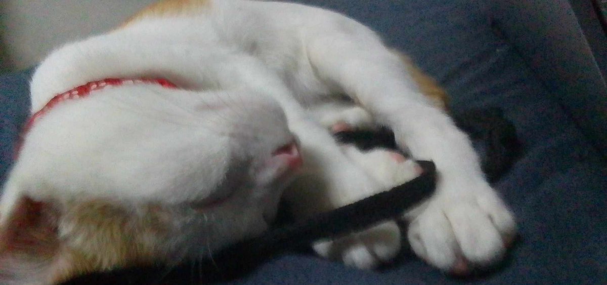 ทุกคนดูนี่