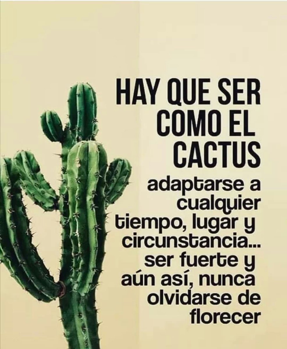 JorgeLuisRR1963's tweet photo. HAY  QUE SER COMO EL CACTUS. https://t.co/S9Ns64cJjG