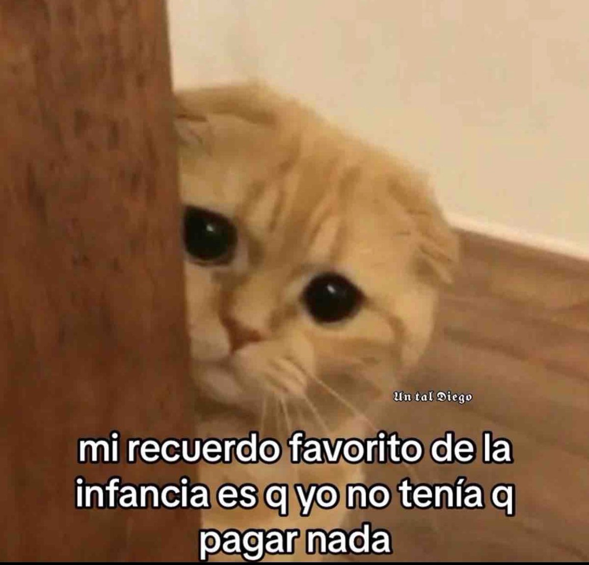 Guarromantico_'s tweet photo. 🥺 https://t.co/U8ZC3dVvvk