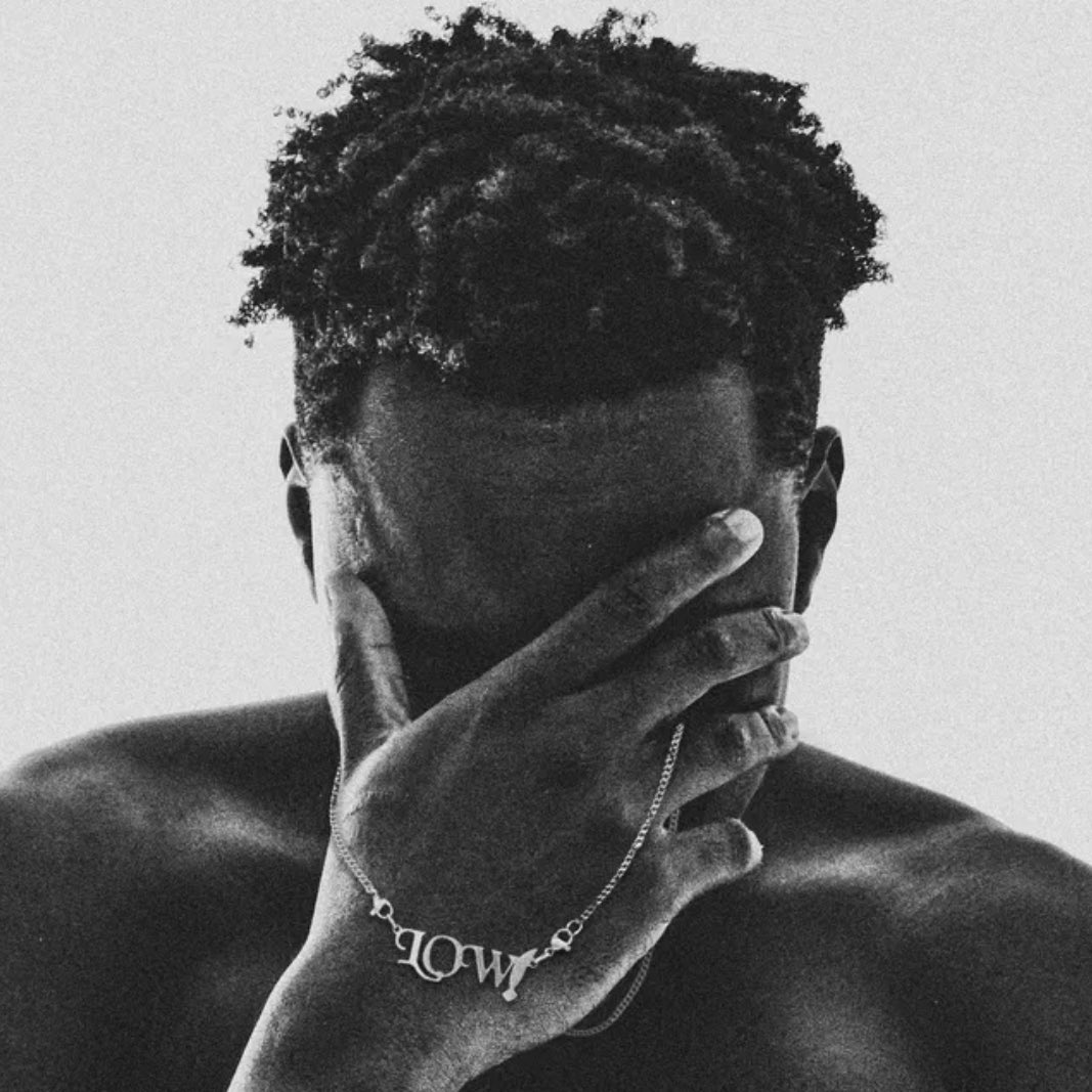 • LOWLIFE - S-Tee (2024)

Jeune trapboy de je ne sais où qui sort de je ne sais où mais qui trappe comme il faut trapper et c’est génial, 2024 commence pas trop mal en réalité. La cover c’est les émotions.