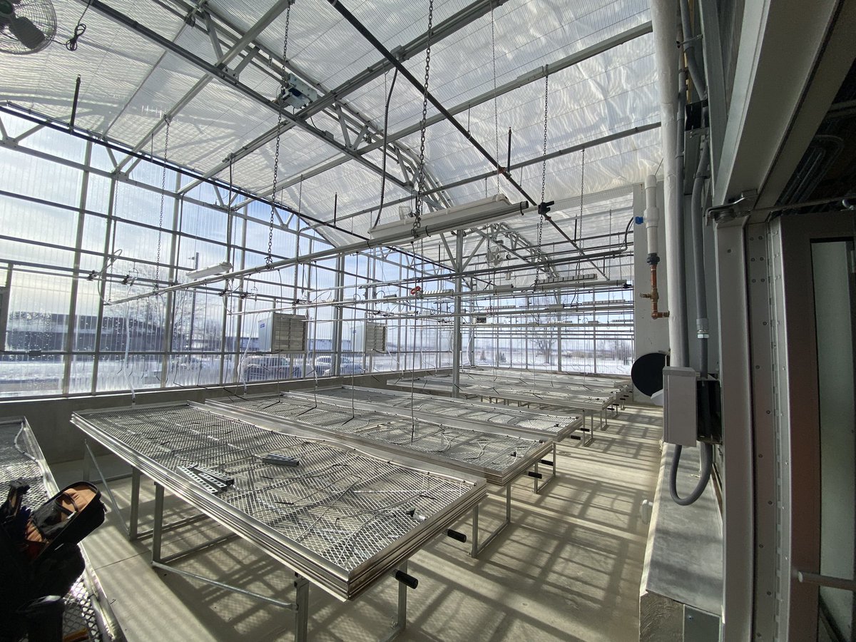 RE_Deal_Junkie's tweet image. 1st completed greenhouse of my career.  #FigureItOut

It came out so well and I learned a few things on how these work.  

Building one offs or new challenges are some of my favorite projects
