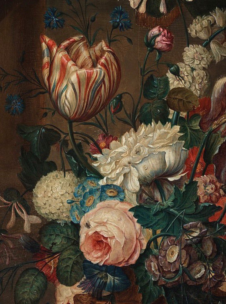 painting details of flowers by Jan van Huysum