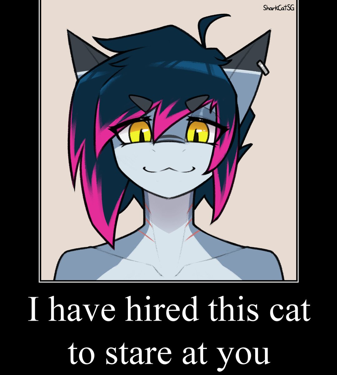 SharkcatSG's tweet photo. :3c https://t.co/tnYmjU3fXA