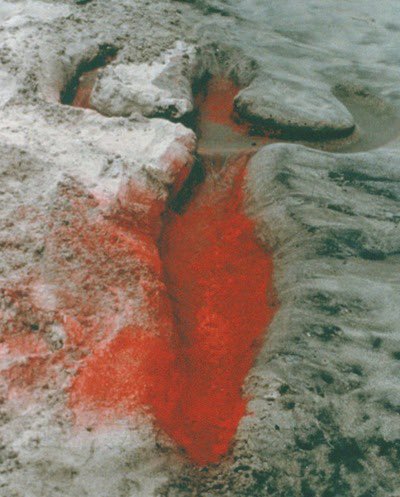 ana mendieta: silueta series, 1973