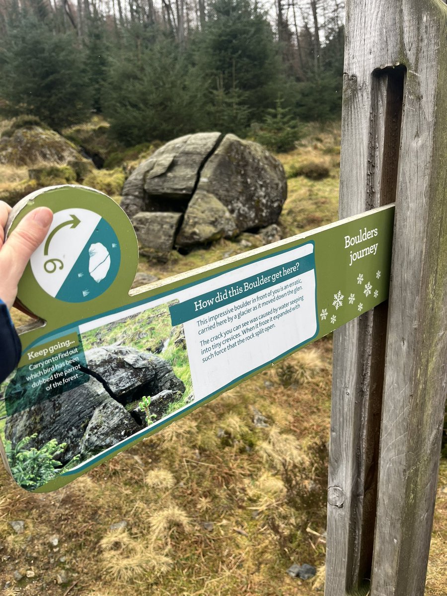 Harrisgeography's tweet photo. Miss Quirk had a walk up to Corrie Fee to see evidence of Glaciation  during the last ice age. Such a great walk and she met a pupil half way up enjoying a Sunday walk 🥾🌎⛰️ #getoutdoors @cairngormsnews https://t.co/g6cDTw26pn