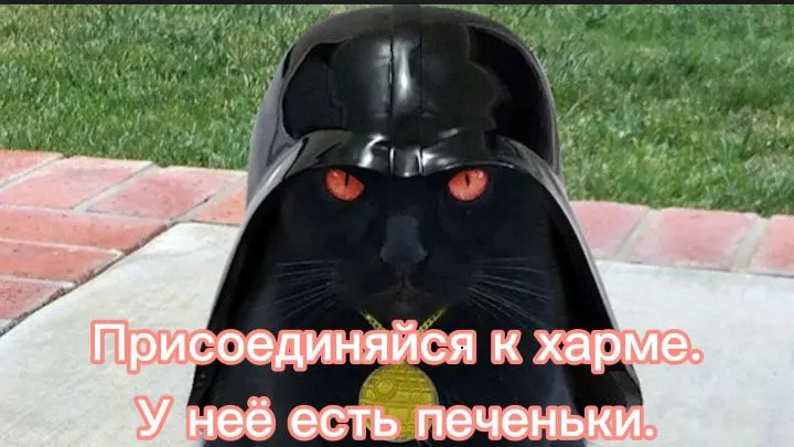 krokocoin's tweet photo. #NFTs #Zealy #Memes #HareCrypta #HareCryptaFun https://t.co/5Ar2WDSqSK