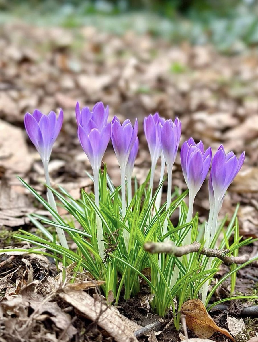 Johnny Flanagan tweet media